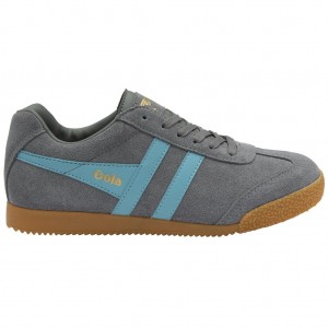 Gola Classics Harrier Suede Sneakers Ash Ocean CZ | VDJH-02879