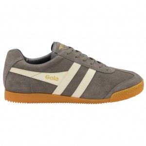 Gola Classics Harrier Suede Sneakers Ash Ecru CZ | XDRK-73480