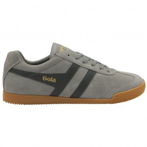 Gola Classics Harrier Suede Sneakers Cement Storm CZ | GIJS-71928
