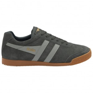 Gola Classics Harrier Suede Sneakers Světle Šedé Tmavě Blankyt CZ | QBPA-85794