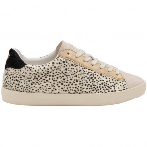 Gola Classics Nova Oasis Sneakers Bílé CZ | HOIA-68197